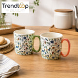 DANNY HOME 310ML 2 PCS PORCELAIN MUG GIFT SET – BZ01-48-2