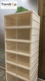 SPACE-SAVING DOUBLE DOOR SHOE STORAGE 6 COMPARMENT CABINET