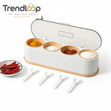 MODERN 4 COMPARTMENT SPICE STORAGE BOX WITH SPOONS